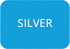 Silver Sponsors
